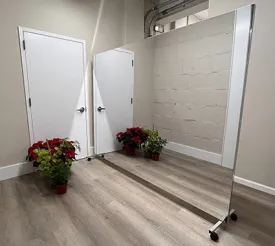 Glassless Mirror, Floor Stand and Whiteboard Back Panel, 48" W x 96" H