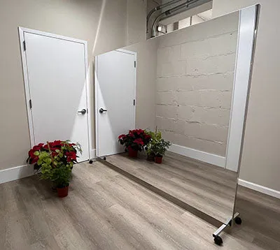 Glassless Mirror, Floor Stand and Whiteboard Back Panel, 48" W x 96" H