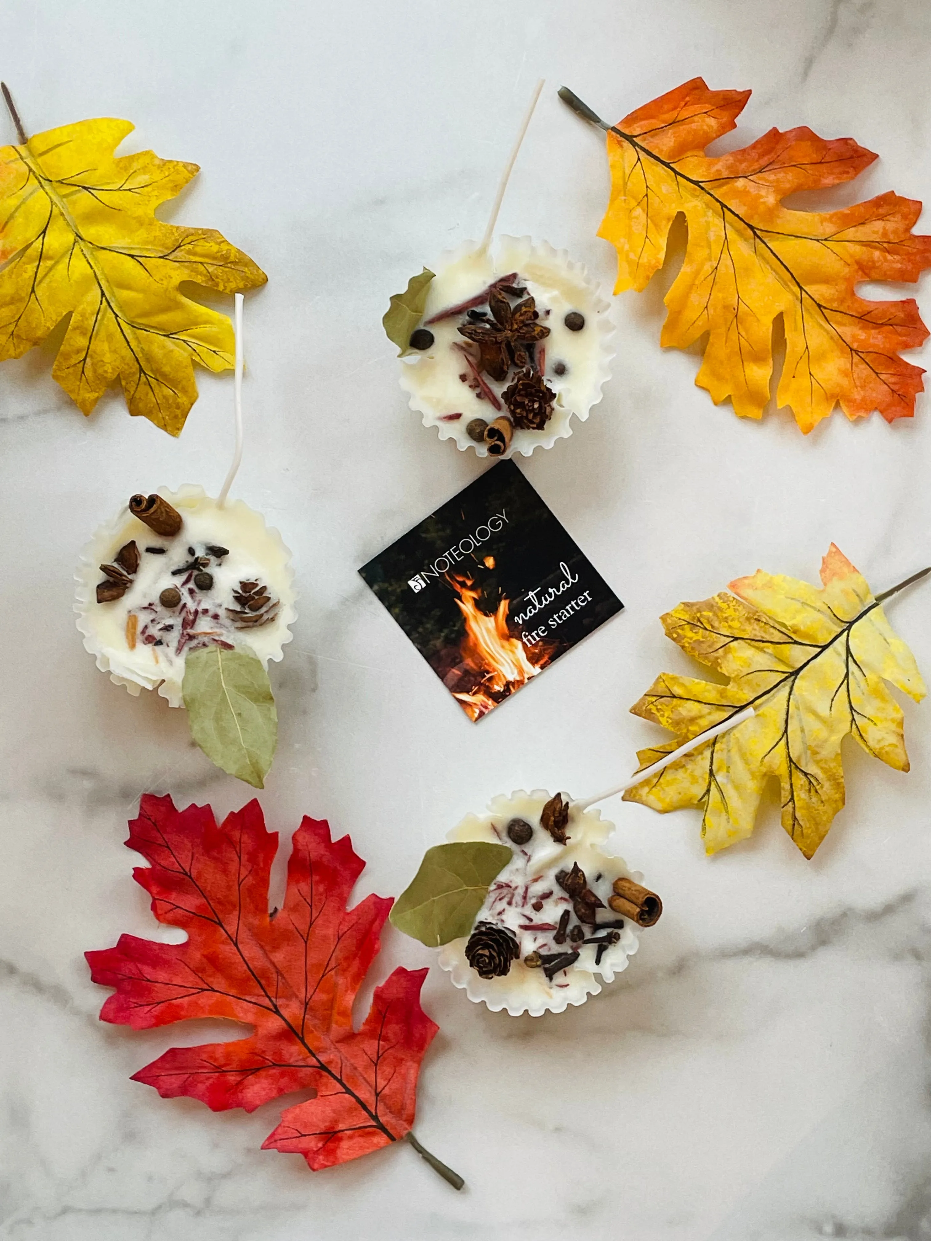 Natural Fire Starters